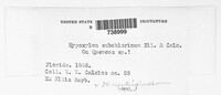 Hypoxylon fuscum image